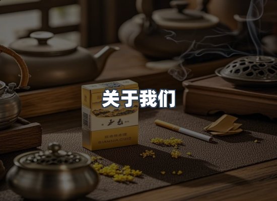 关于我们